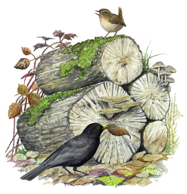log pile